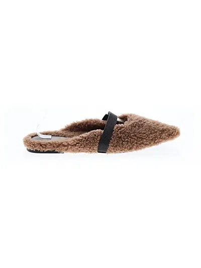 Pre-owned Brunello Cucinelli Mule/clog In Brown