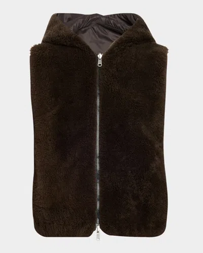 Brunello Cucinelli Reversible Hooded Goat Vest In Brown