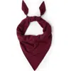 Brunello Cucinelli Scarf With Monili In Burgundy