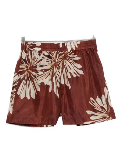 Brunello Cucinelli Silk Twill Shorts With Floral Print And Elasticated Waistband In Brown