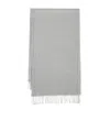 Brunello Cucinelli Stripe-trim Silk Scarf In Gray