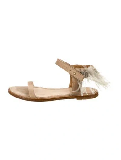 Pre-owned Brunello Cucinelli Suede Feather Trim Sandals In Brown