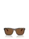 Brunello Cucinelli Polarized Acetate Cat-eye Sunglasses In Brown