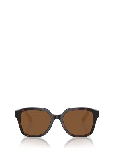 Brunello Cucinelli Sunglasses In Brown