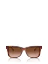Brunello Cucinelli Woman Sunglass Bc4009s In Brown
