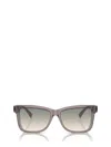 Brunello Cucinelli Logo Acetate Butterfly Sunglasses In Purple