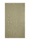Brunello Cucinelli Translucent Fringe-edge Scarf In Green