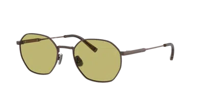 Brunello Cucinelli Unisex Sunglasses Bc2003st In Prateria