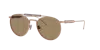 Brunello Cucinelli Unisex Sunglass Bc2004st In Nocciola