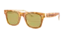 Brunello Cucinelli Unisex Sunglass Bc4002s Mr. Brunello In Brown