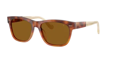 Brunello Cucinelli Unisex Sunglass Bc4003sm In Brown