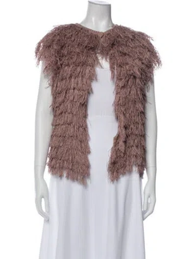 Pre-owned Brunello Cucinelli Vest In Purple