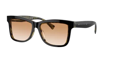 Brunello Cucinelli Woman Sunglass Bc4009s In Clear Gradient Light Brown