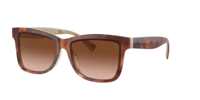 Brunello Cucinelli Woman Sunglass Bc4009s In Quercia