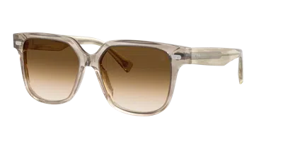 Brunello Cucinelli Woman Sunglass Bc4010s In Clear Gradient Brown