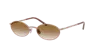 Brunello Cucinelli Womens Pink Bc2006st Oval-frame Titanium Sunglasses In Brown Gradient