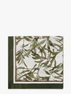 Brunello Cucinelli Women  Panama/verde Scarves In Multicolor