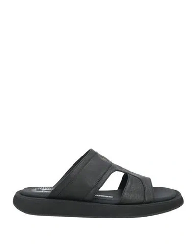 Bruno Bordese Man Sandals Black Size 9 Leather
