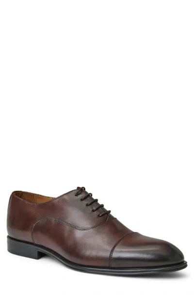 BRUNO MAGLI BRUNO MAGLI ADRIANO CAP TOE OXFORD