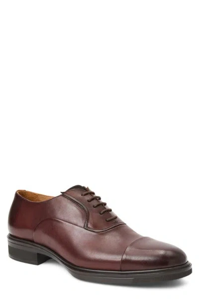 Bruno Magli Aero Porto Cap Toe Oxford In Burgundy