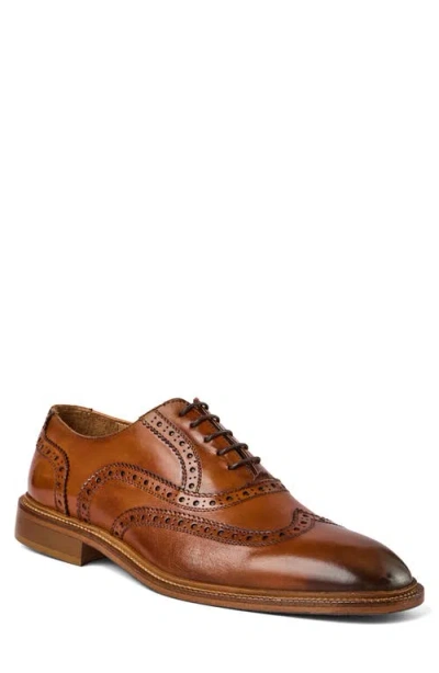 Bruno Magli Alfonso Wingtip Oxford In Brown