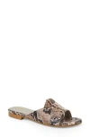 Bruno Magli Andria Woven Slide Sandal In Brown
