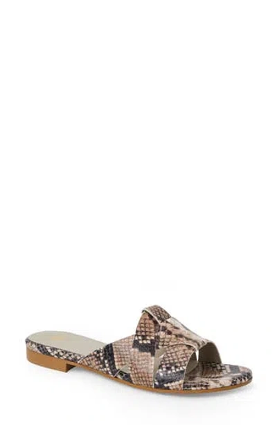 Bruno Magli Andria Woven Slide Sandal In Brown