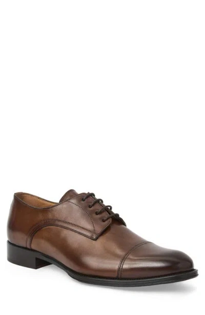 Bruno Magli Borgo Cap Toe Derby In Brown
