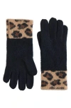 Bruno Magli Cashmere Leopard Gloves In Black