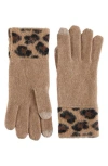 Bruno Magli Cashmere Leopard Gloves In Brown