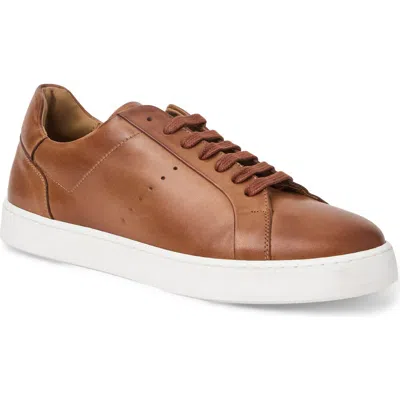 Bruno Magli Damiano Low Top Leather Sneaker In Brown