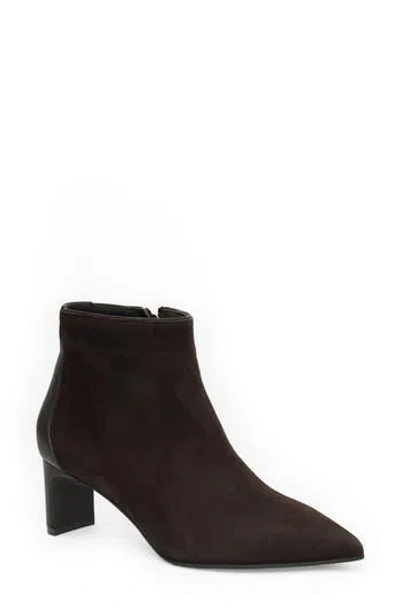 Bruno Magli Fiama Pointed Toe Bootie In Brown