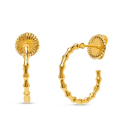 Bruno Magli Giulia Gold Hoop Earrings