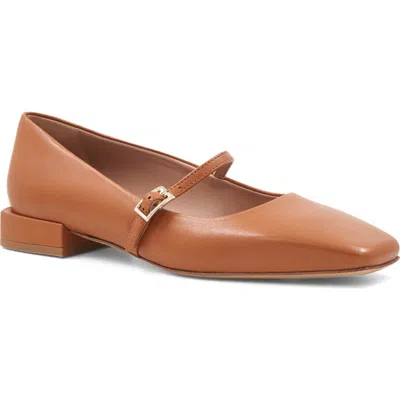 Bruno Magli Lucia Mary Jane Flat In Brown