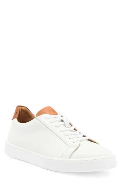 Bruno Magli Magnifico Low Top Sneaker