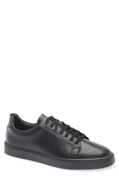 Bruno Magli Magnifico Low Top Sneaker In Black