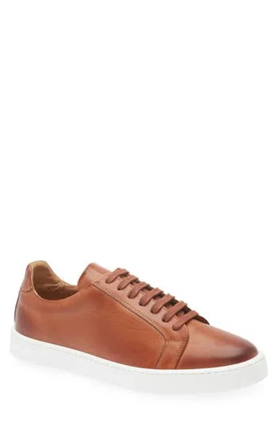 Bruno Magli Magnifico Low Top Sneaker In Cognac