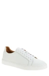 Bruno Magli Daniel Low Top Sneaker In White/white