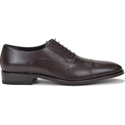 Bruno Magli Maioco Cap Toe Oxford In Dark Brown Leather