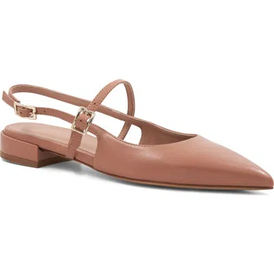 Bruno Magli Martina Slingback Mary Jane Pointed Toe Flat In Brown