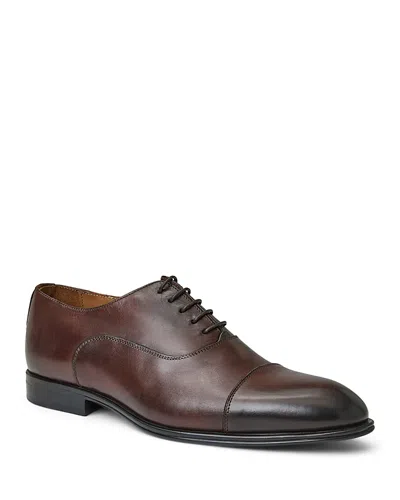 Bruno Magli Men's Captoe Oxfords In Brown