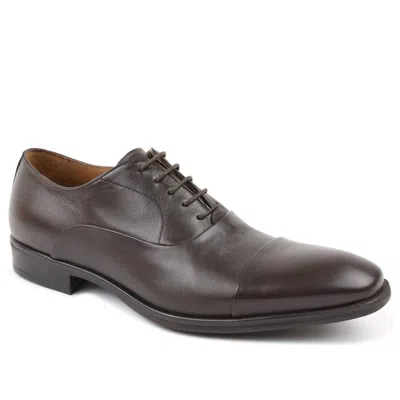 Bruno Magli Men's Locascio Lace-up Dress Shoes In Dark Brown