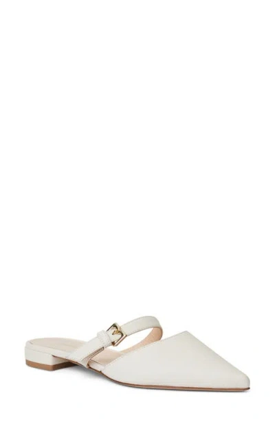 Bruno Magli Pasha Mule In Brown