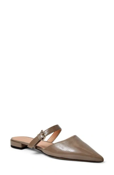 Bruno Magli Pasha Mule In Brown