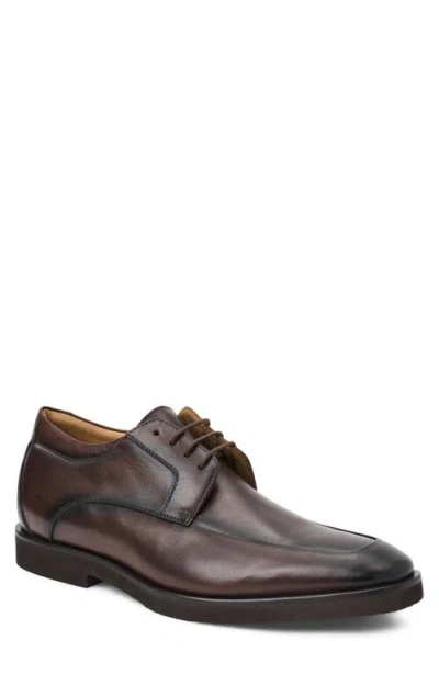 Bruno Magli Rimini Cap Toe Derby In Brown