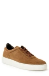 Bruno Magli Serafino Sneaker In Brown
