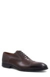 Bruno Magli Sergio Cap Toe Oxford In Brown
