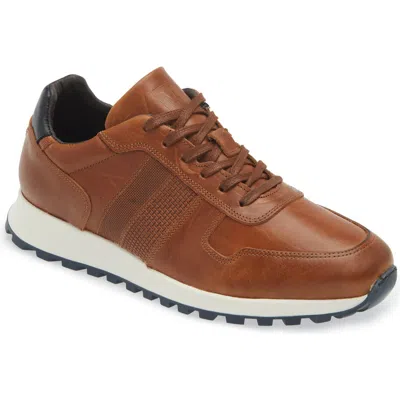 Bruno Magli Sesto Sneaker In Cognac