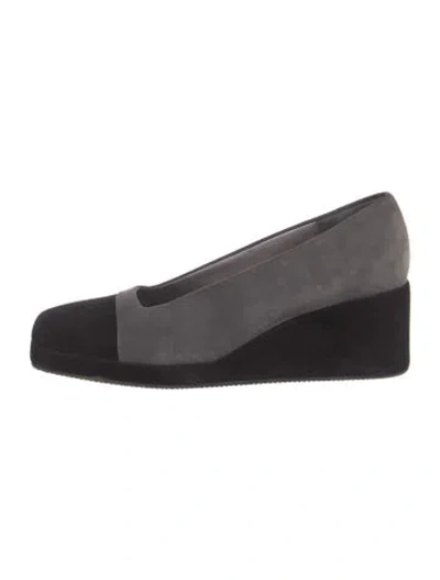Pre-owned Bruno Magli Suede Pumps In Gray