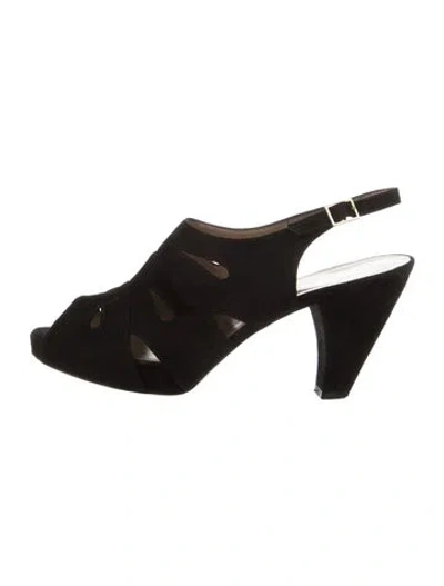 Pre-owned Bruno Magli Suede Slingback Pumps In Black